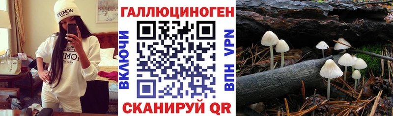 Псилоцибиновые грибы GOLDEN TEACHER  Адыгейск 